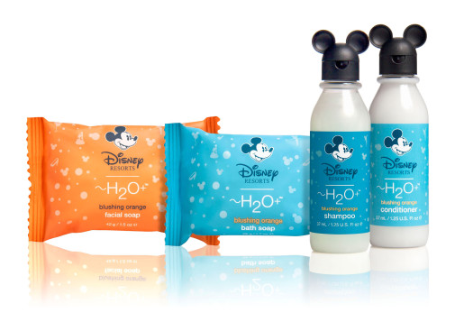 H2O PLUS