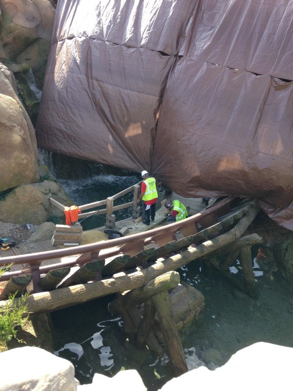 2014 WDW Spring Break iPhone (11)