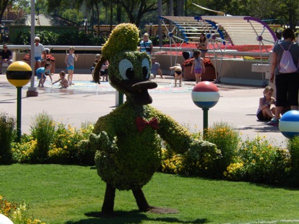 WDW 2014206