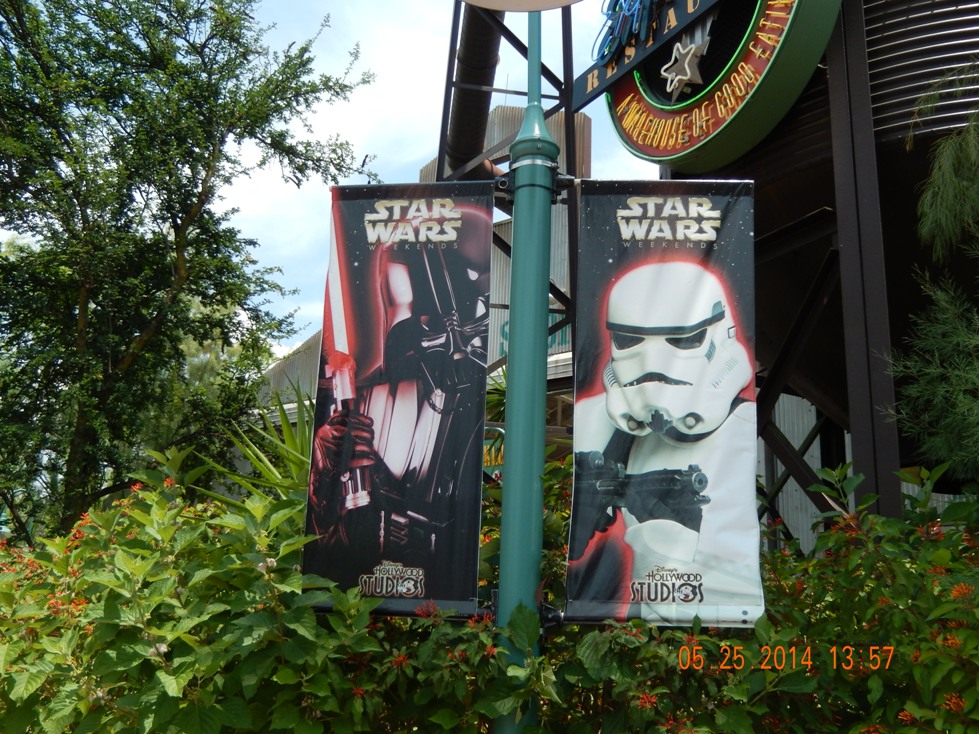 WDW 24 Hour001289