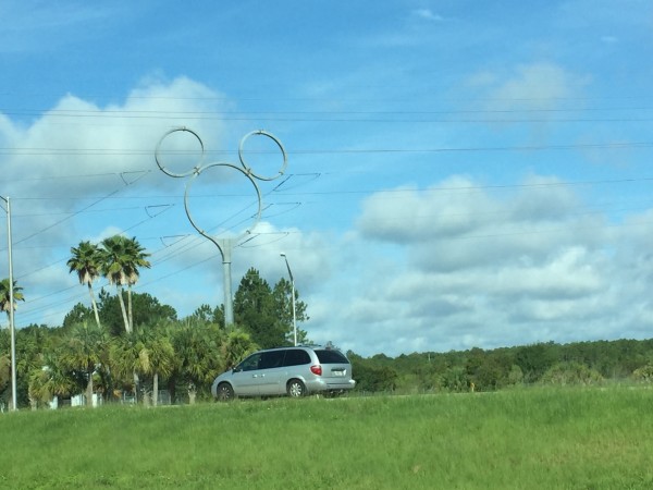 Celebration Hidden Mickey Power