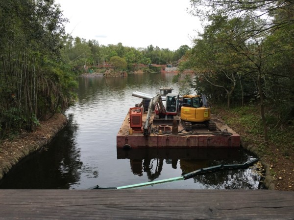 WDW Christmas 2015 Animal Kingdom Rivers of Light Construction (12)