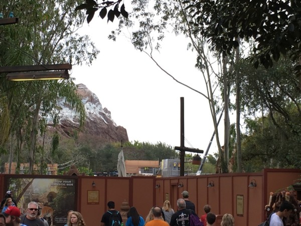 WDW Christmas 2015 Animal Kingdom Rivers of Light Construction (8)