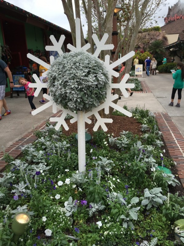 WDW Christmas 2015 Disney Springs (6)