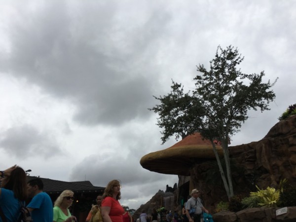 WDW Christmas 2015 Disney Springs (9)