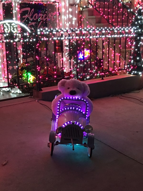 WDW Christmas Eve 2015 Osborne Spectacle of Dancing Lights (11)