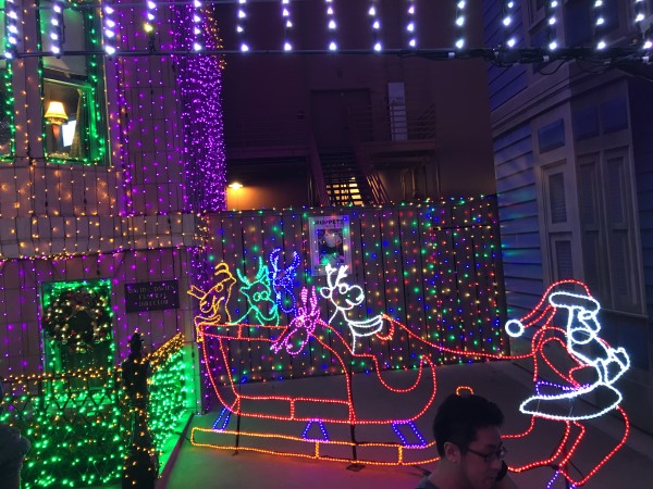 WDW Christmas Eve 2015 Osborne Spectacle of Dancing Lights (17)