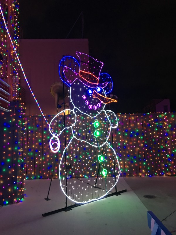 WDW Christmas Eve 2015 Osborne Spectacle of Dancing Lights (19)