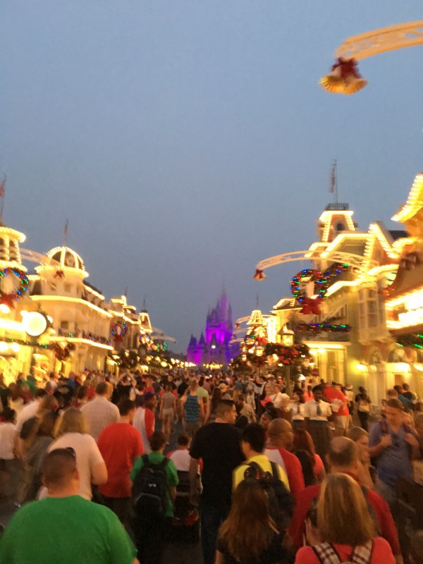 WDW Christmas Day 2015 (15)