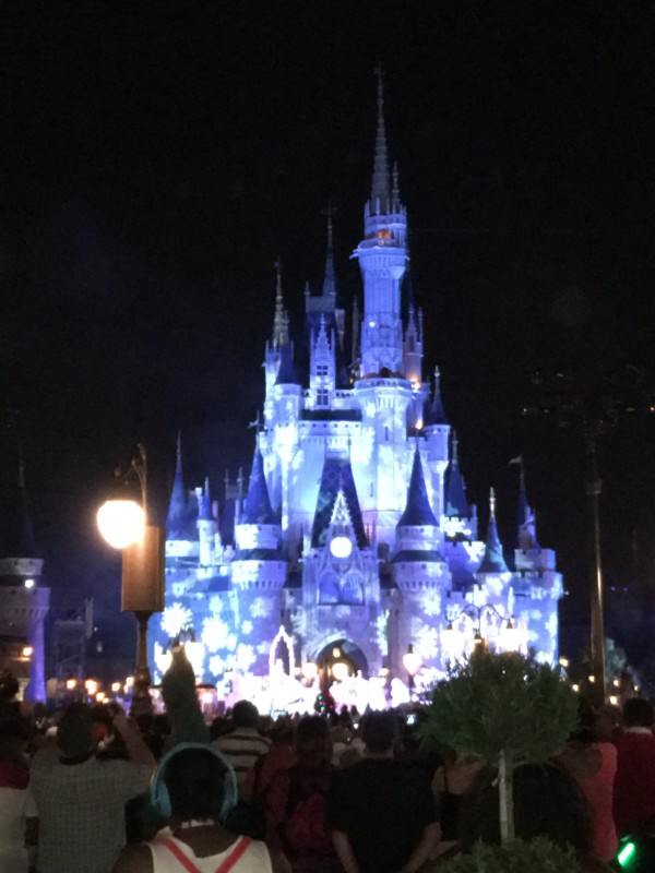 WDW Christmas Day 2015 Holiday Wishes (2)