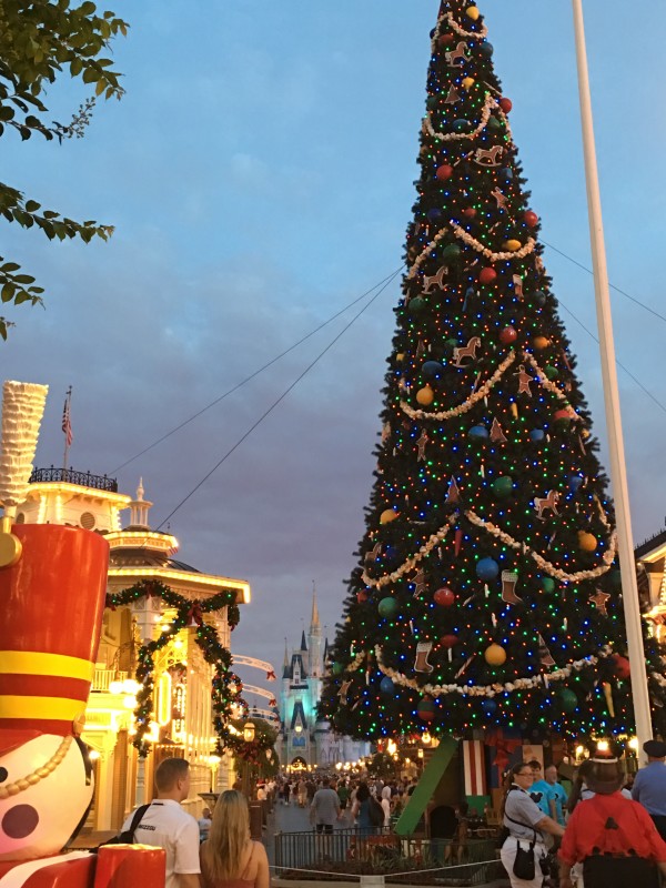 WDW Christmas Day 2015 MAgic Kingdom