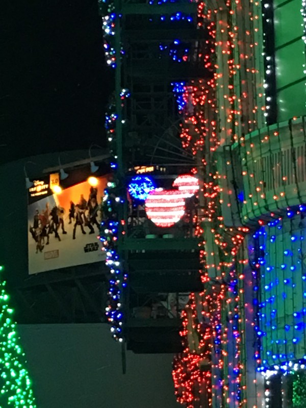 WDW Christmas Eve 2015 Osborne Lights (2)