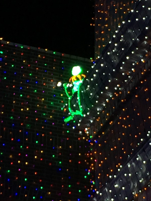 WDW Christmas Eve 2015 Osborne Lights (6)