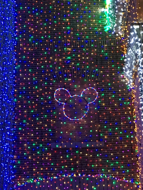 WDW Christmas Eve 2015 Osborne Lights (8)