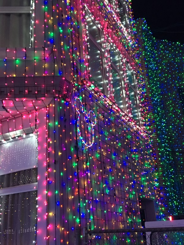 WDW Christmas Eve 2015 Osborne Spectacle of Dancing Lights  (29)