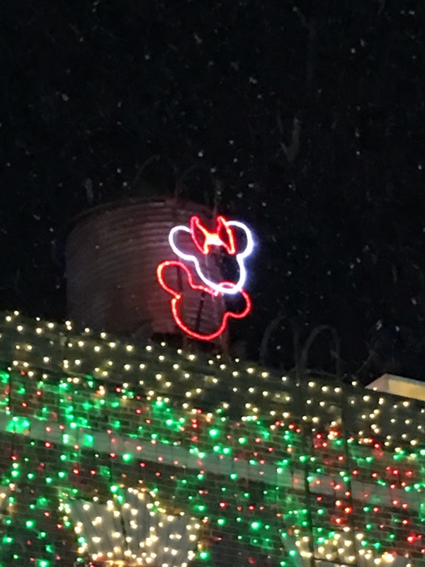 WDW Christmas Eve 2015 Osborne Spectacle of Dancing Lights  (36)