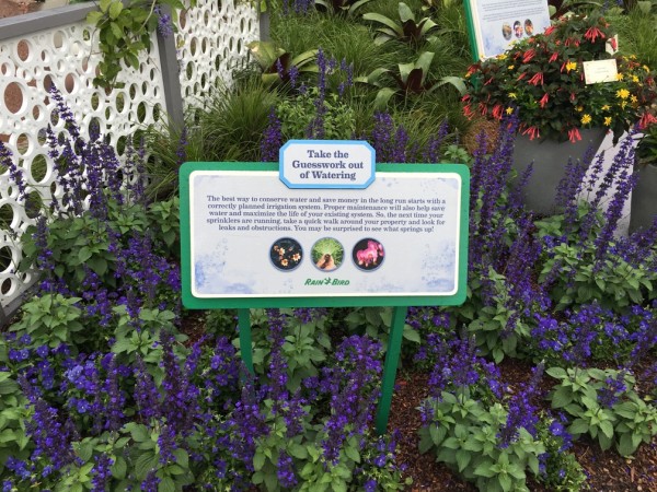 WDW Flower & Garden Festival 2016001012