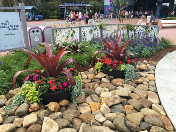 WDW Flower & Garden Festival 2016001019