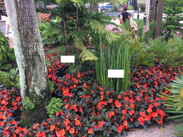 WDW Flower & Garden Festival 2016001042