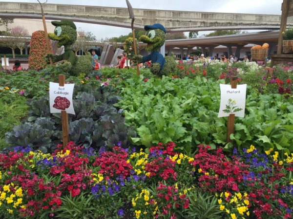 WDW Flower & Garden Festival 2016001004