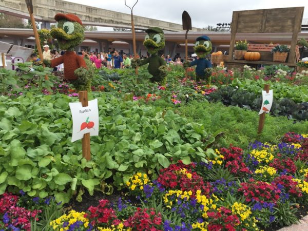 WDW Flower & Garden Festival 2016001005