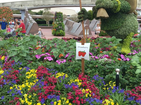 WDW Flower & Garden Festival 2016001006