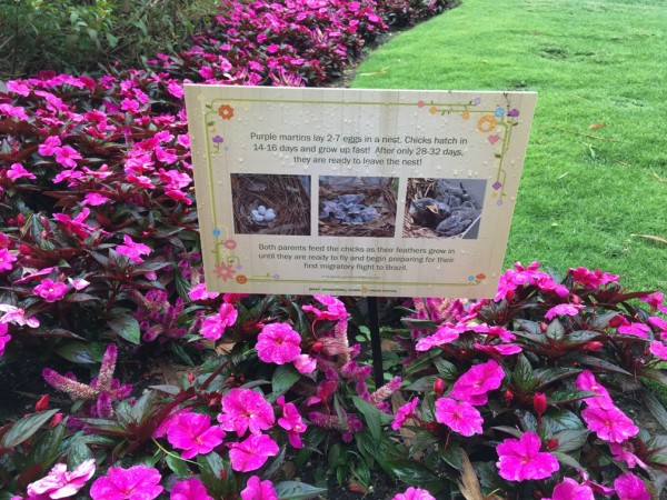 WDW Flower & Garden Festival 2016001066