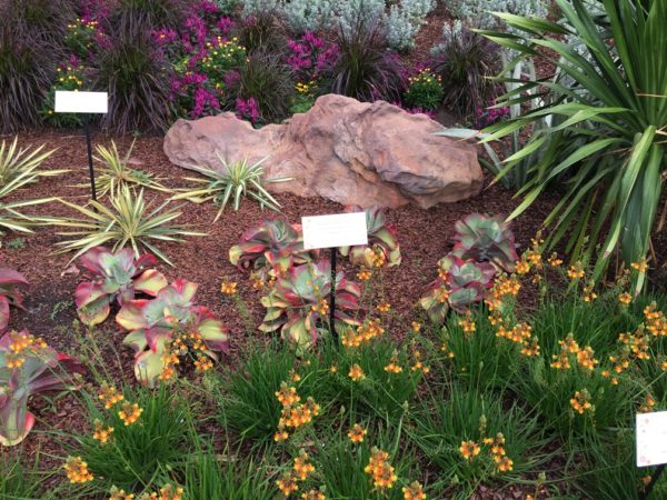 WDW Flower & Garden Festival 2016001113