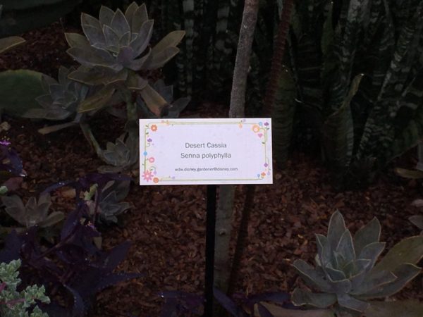 WDW Flower & Garden Festival 2016001120