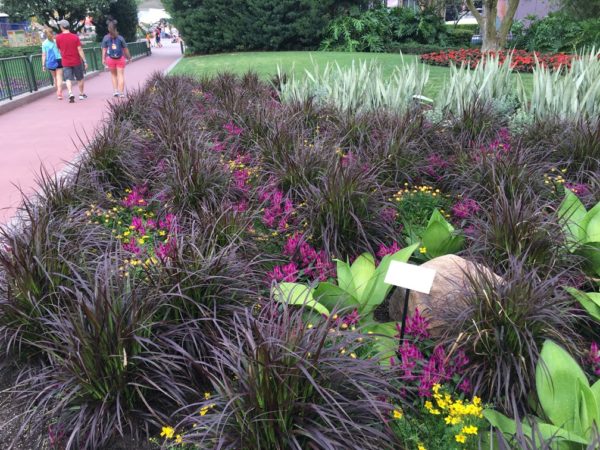 WDW Flower & Garden Festival 2016001125