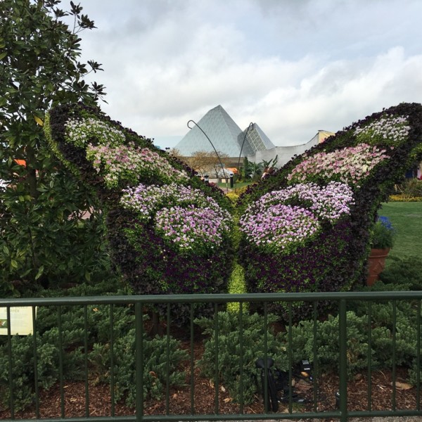 WDW Flower & Garden Festival 2016001193