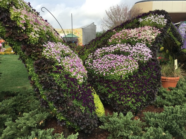 WDW Flower & Garden Festival 2016001195