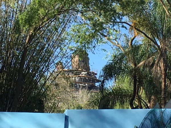 WDW Spring Break 2016 Animal Kingdom (11)