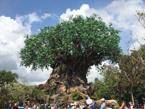 WDW Spring Break 2016 Animal Kingdom (57)