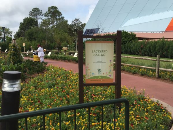 WDW Flower & Garden Festival 2016001291