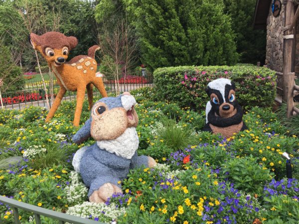 WDW Flower & Garden Festival 2016001383